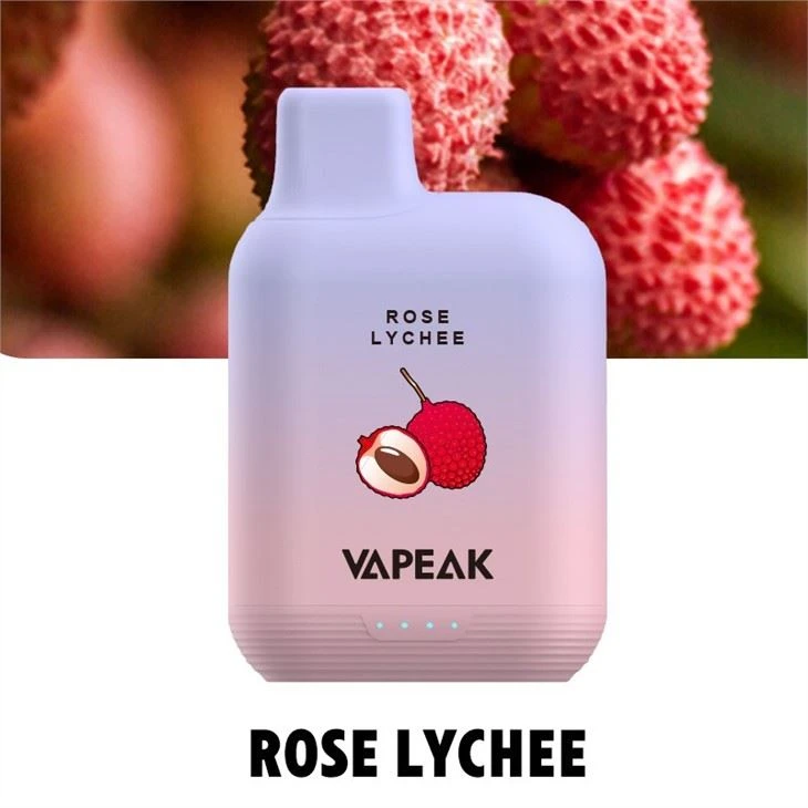 6000 Puff Disposable Vape Device
