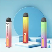 2500 Puffs Mesh-coil Kertakäyttöinen Vape