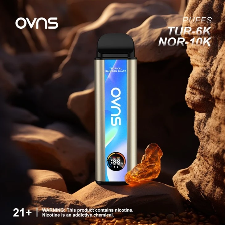 10000 Puffs Dual Mesh Coil Disposable Vape