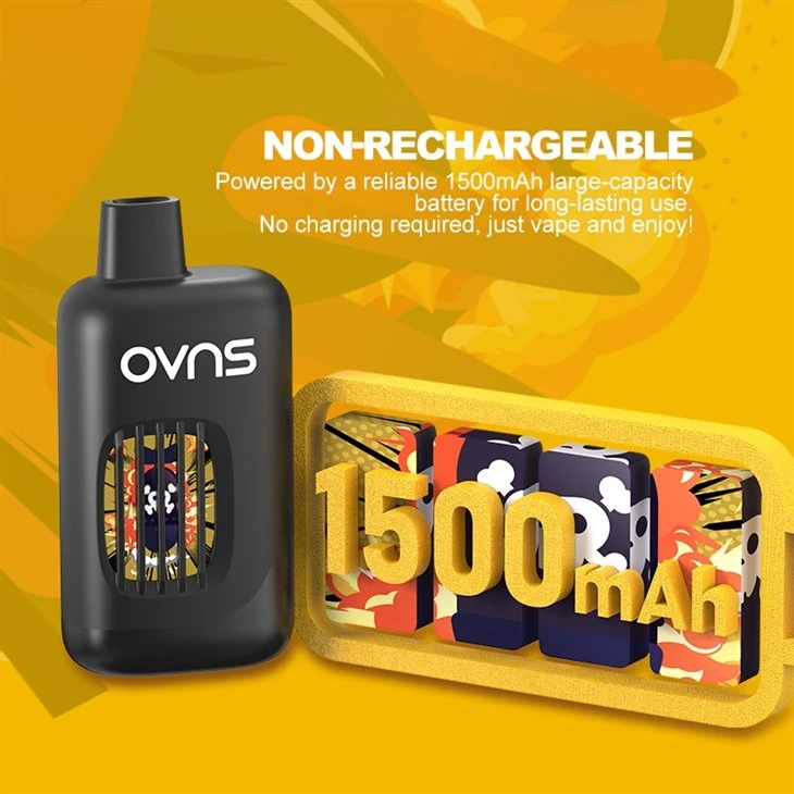 3500 Puffs 5% Nicotine Disposable Vape E-Cigarette 3500 Puffs 5% Nicotine Disposable Vape E-Cigarette